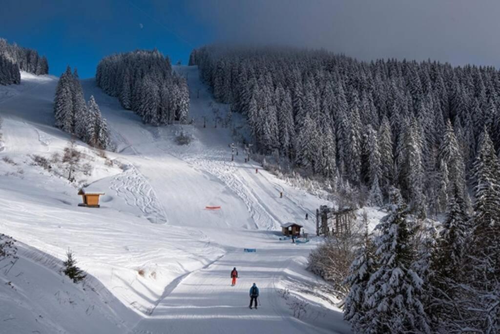 Le Relai S31 - Grand Et Lumineux Studio Avec Coin Montagne 4-6 Pers, Tout Equipe, Avec Wifi, A 30M Des Pistes Avec Un Grand Balcon, Draps Non Compris Saint-Jean-d'Aulps Bagian luar foto